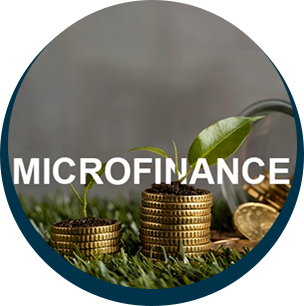 Microfinance